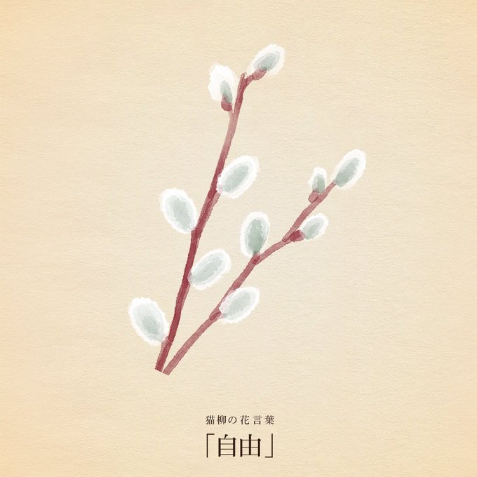 Twoucan ネコヤナギ の注目ツイート イラスト マンガ コスプレ モデル