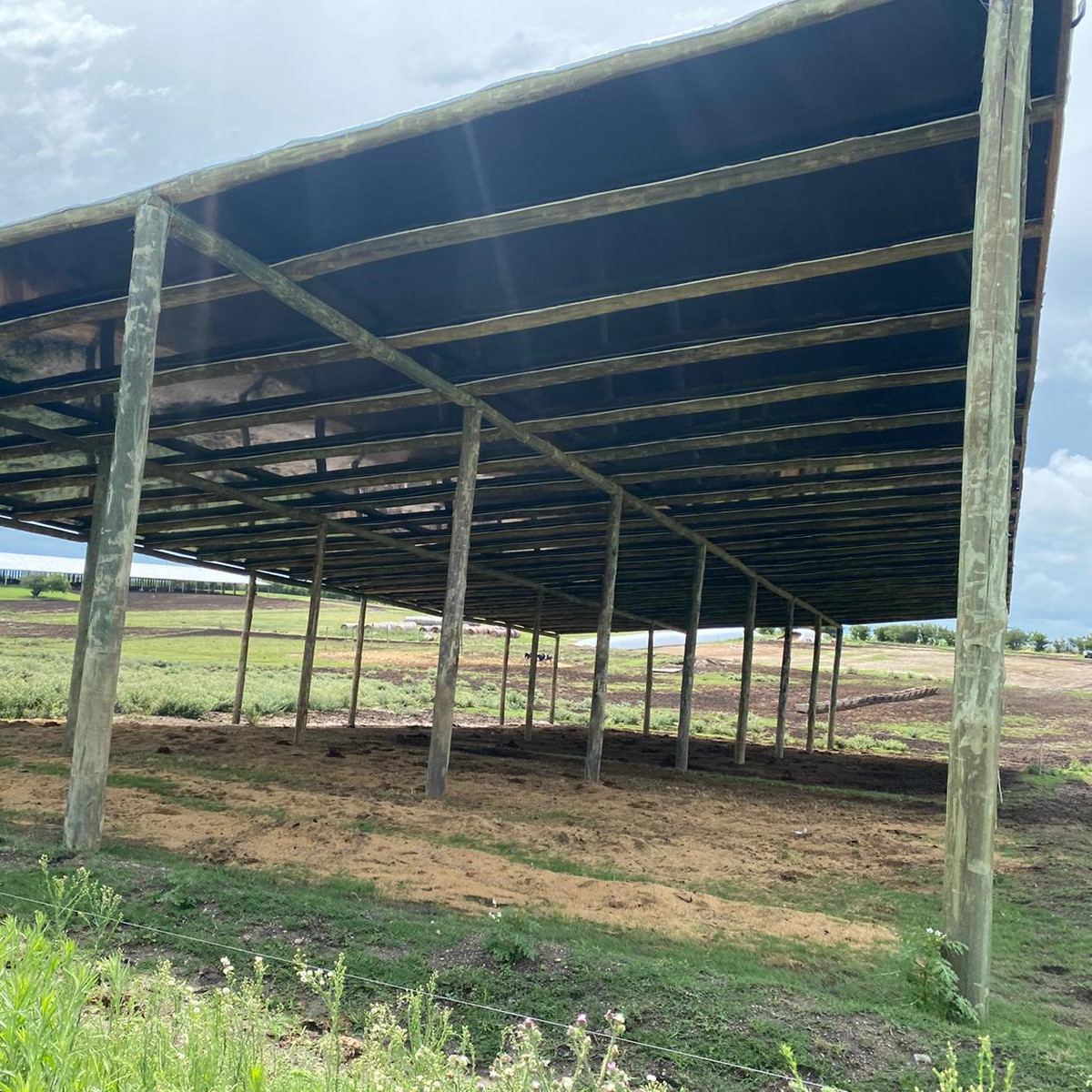 📸 Registros de nuestros Films para Techo de Ganado. Parte 2 - en la ciudad de Tararias, Colonia. 🐄🇺🇾 

#tashiroytakata