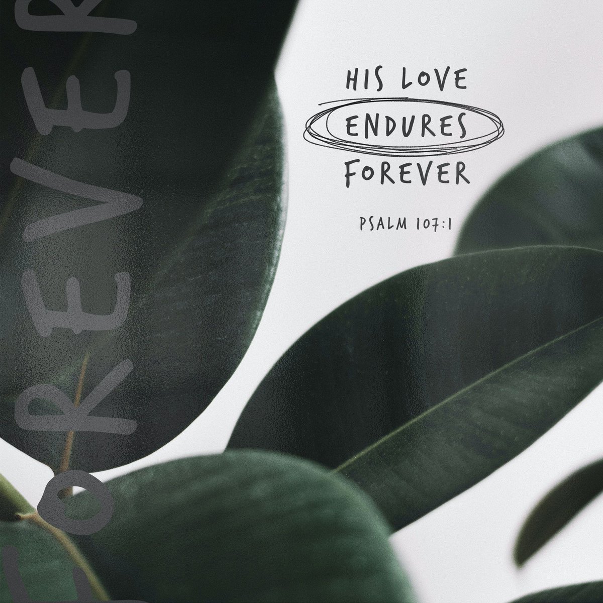 ThePointVA's tweet photo. We are so thankful that God's love never fails. https://t.co/vJWCTb8eMU