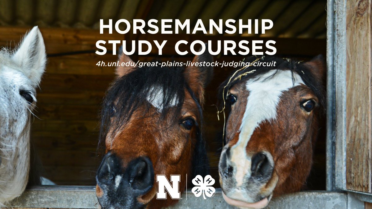 Looking to advance your horsemanship knowledge and skills? 🐴  

Check out our Horsemanship Study Courses! Three levels are available and are open to all youth ages 8-18 interested in learning more about horses. Youth do not need to be  4-H members. 4h.unl.edu/horse-study-co…