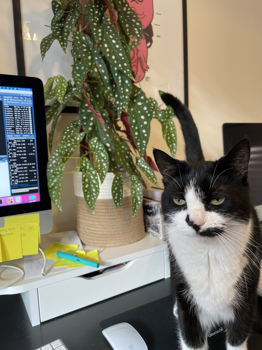 When we’re not on call, we work on our own research. This may be in the lab but a lot of my work, especially during the pandemic, has been based on data we’ve already collected. I have a research supervisor at home too. She’s quite strict and she has her own chair