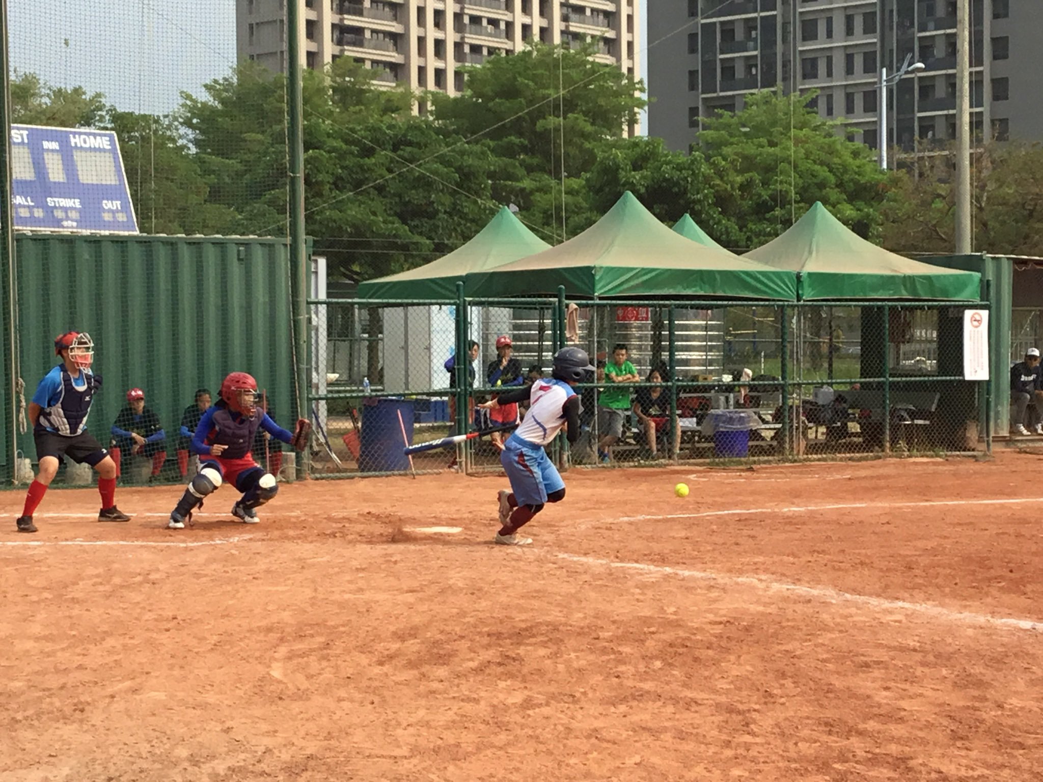 日本体育大学荏原高校 女子ソフトボール部 ソフト部あるある ときどき ボールを鳥や蝶の影と間違える 日体大荏原 ソフト部 ソフトボール 反射 影 ボール 鳥 蝶 台湾 怖くて ビクッとなる 恥ずかしくて 周りが見てないか確認しがち