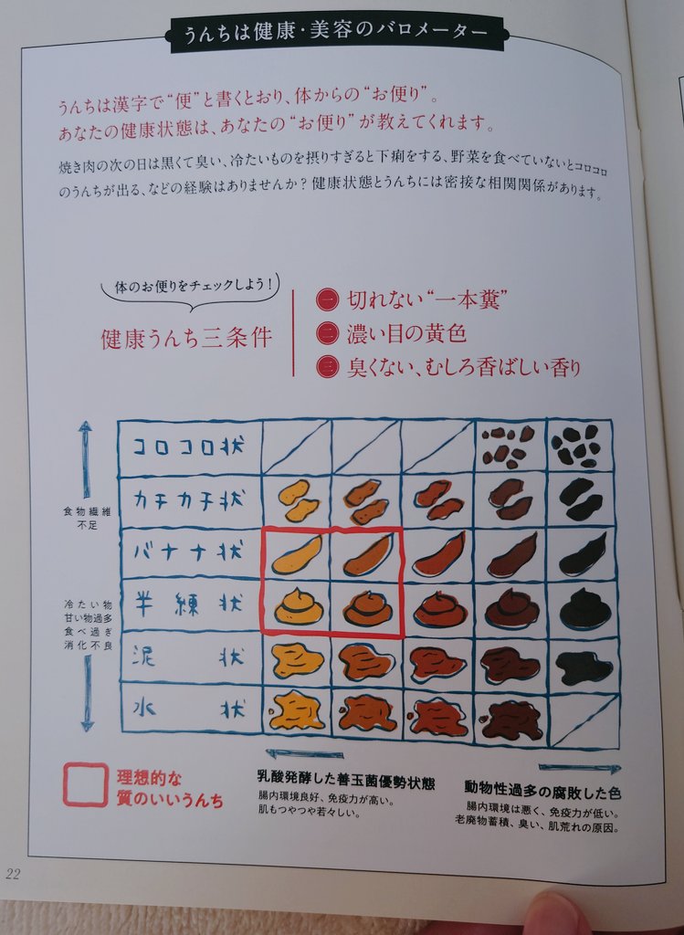 ちさと(快便ちゃん) tweet media