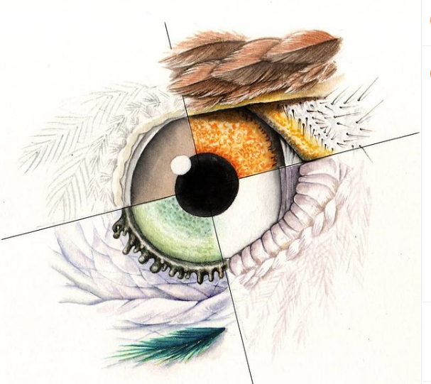 Want to start with Clara Cerviño, specially skilled with watercolors and birds, and extraordinary art teacher, it's a blessing to listen her classes. Shares impresive art and the instructions to make it by yourself. https://www.claracervino.com/galeria.html&nbsp; https://www.instagram.com/claracervino/&nbsp;