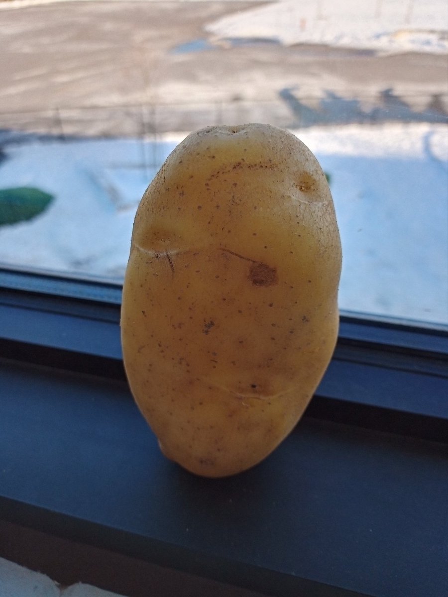 ArcandjMs's tweet image. Warming up to a media literacy project. How would you market potatoes to children? Today we talked about how shoes are marketed using a @cbcmarketplace show, and considered how we could incorporate what kids like into our media #grade4 #projectpotato @ddwhdsb @HDSBLiteracy