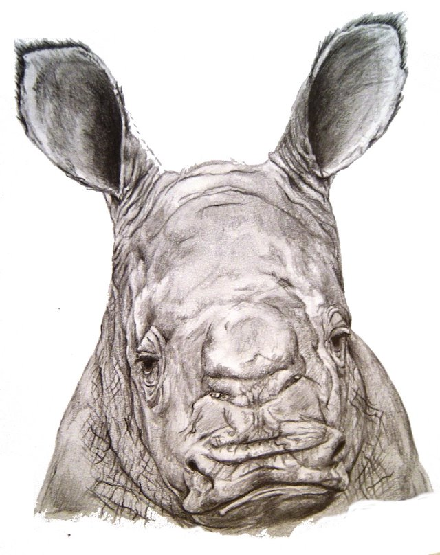 Marie Joëlle Giraud, prominent illustrator from Colombia, who puts great effort and dedication in her works, really inspirational. Also an active comunicator sharing her wisdom. https://mariejoellegiraudlopez.wordpress.com/&nbsp;