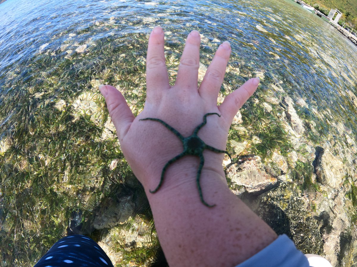 whaleslovemady's tweet photo. Happy #InternationalDayOfWomenInScience 🌊Inspiring the next generation of girls one invert at a time 🦀 https://t.co/OJBdAS5KbS