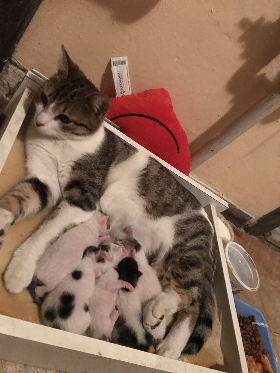 Gece gece sizi görmek iyi geldi