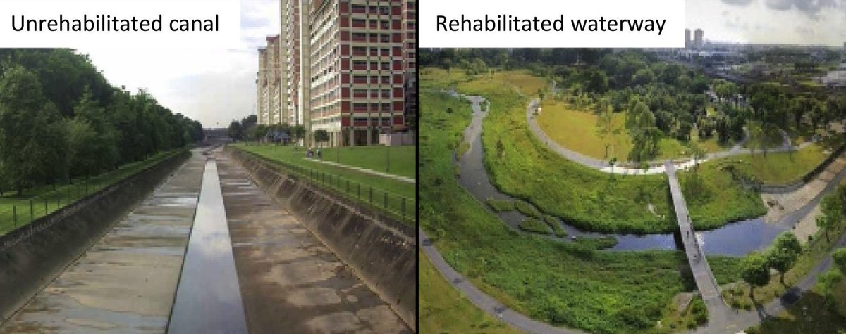 Claudia Tan tweet media