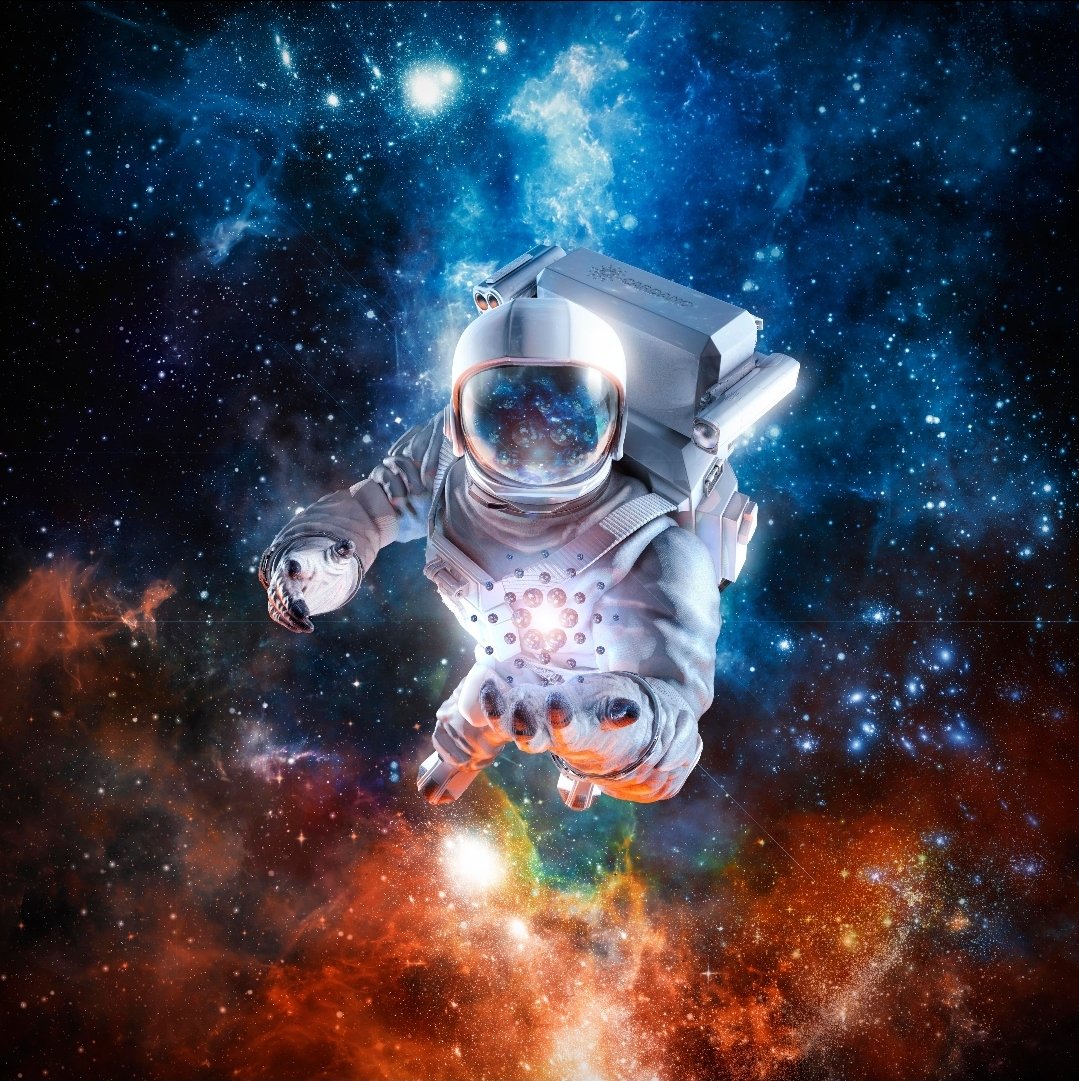 Pavan23441970's tweet photo. @girlgone_crypto https://t.co/ueKRZ6FaYy