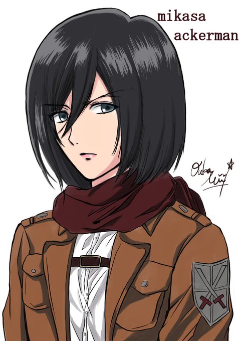 ミカサ生誕祭のtwitterイラスト検索結果 ミカサ生誕祭のtwitterイラスト検索結果