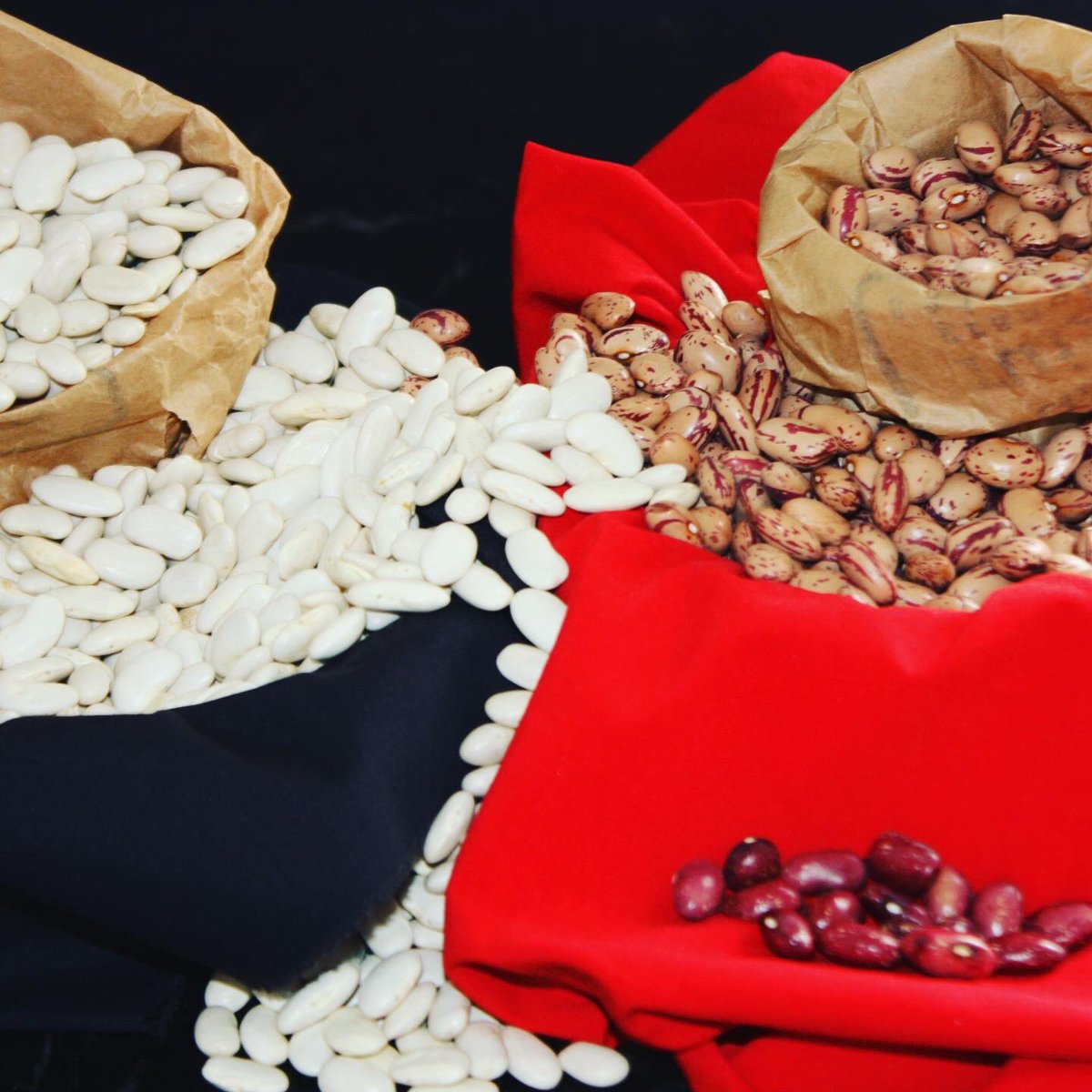 🧡 Celebramos el #díamundialdelaslegumbres. Parte de nuestra investigación tiene que ver con ellas.
⏳ Hemos recuperado variedades de #garbanzos y #judias tradicionales de la <a href="/ComunidadMadrid/">Comunidad de Madrid</a> e investigamos su cultivo en ecológico para extenderlo a los agricultores de la región.