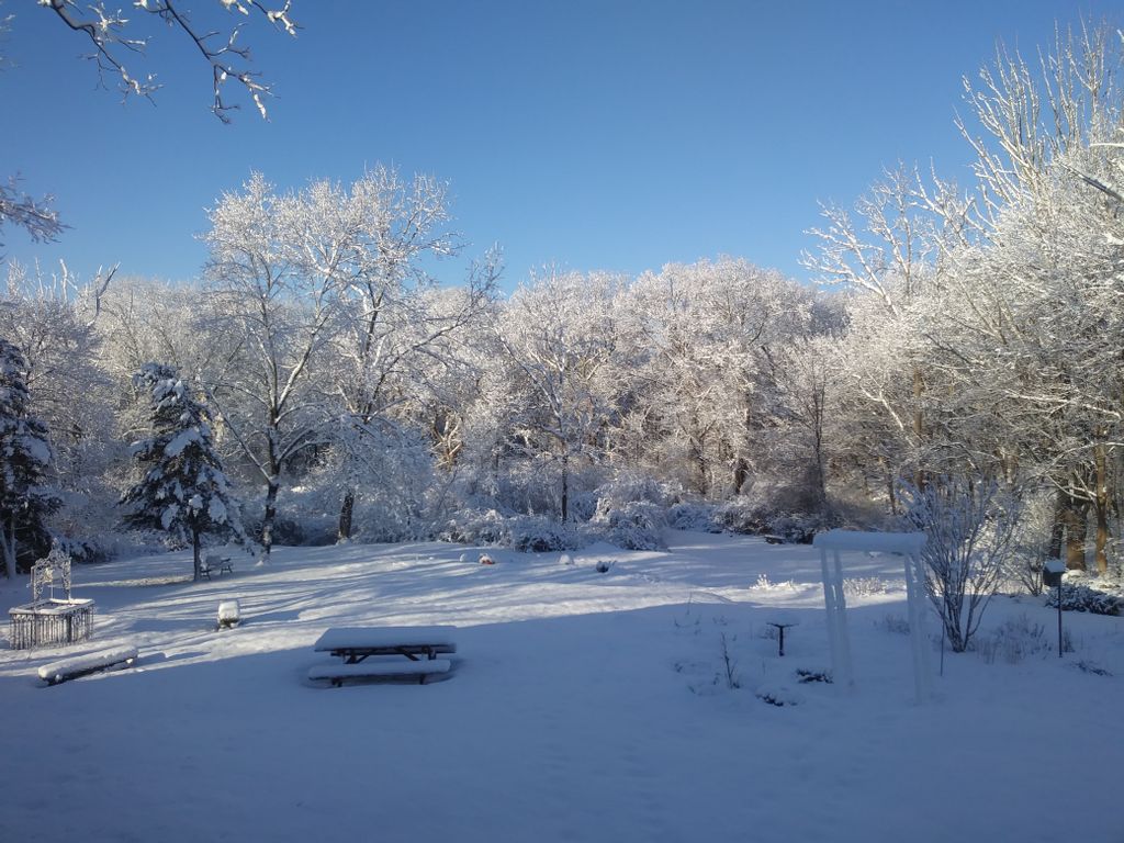 Sisters Ann Whittaker and Anne Marie O'Shea share scenery of the Catherine Spalding House in Massachusettes. "It is a February winter wonderland in our backyard. Mother Earth blesses us with the silence, the wonder, the surprise, and incredible beauty of a New England snowfall."