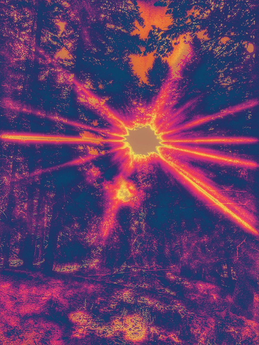 RiffHaven's tweet photo. Riff Häven Episode 212 airs tonight from 9-11 PM MDT (GMT -6) on @radioboise featuring music from #NightBeats #DeathFromAbove1979 #IndigoRaven #Spelljammer #JaketheHawk #MosGenerator & more
#RiffHaven #RadioBoise #StonerRock #FuzzRock #HeavyPsych #PostRock #DesertRock https://t.co/489aGdH7Bm