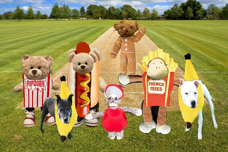 TravelMonk2's tweet image. Goooooooo... Pizza Club!! 
Goooooooo... #FurryTails !! 

#surprisecheer 
#cheerteam 
#wereherecheer