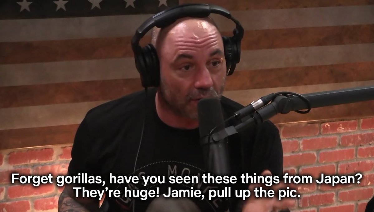 KeatonPatti's tweet image. wtf is this podcast?????