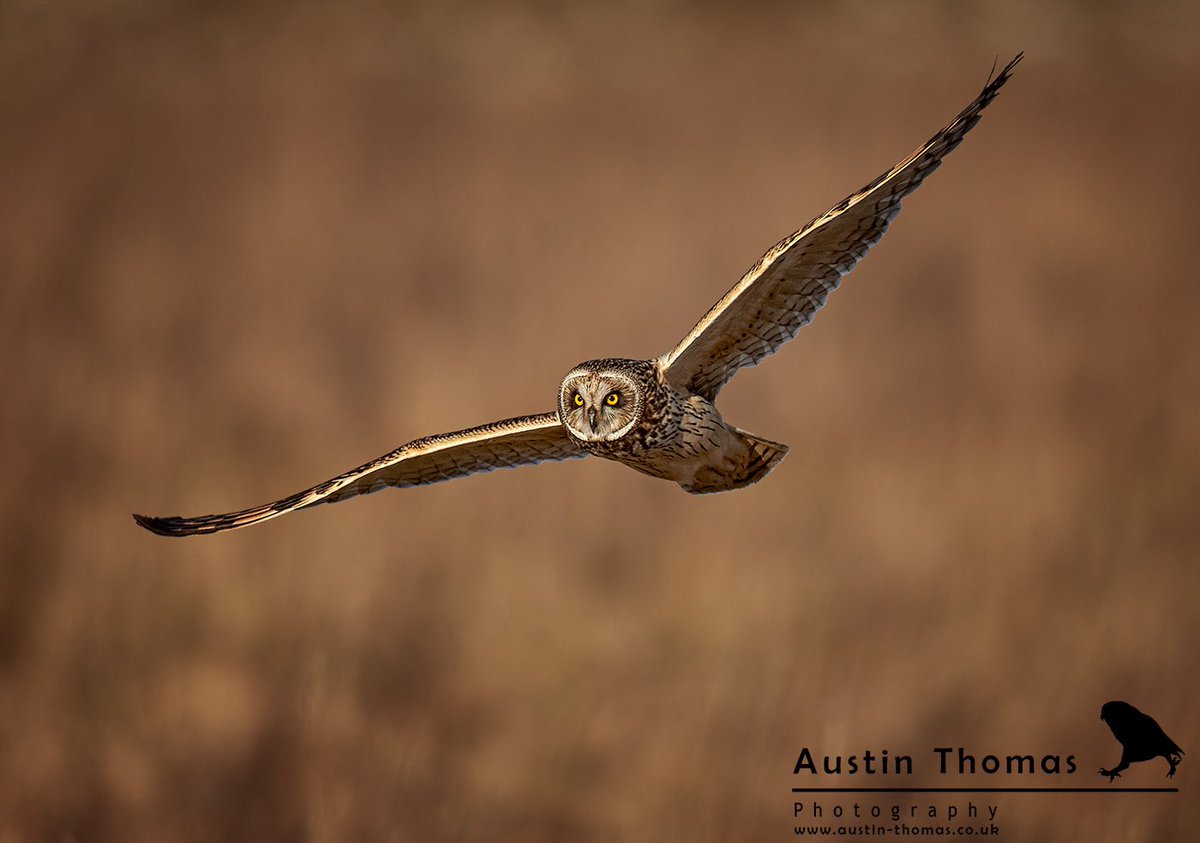 AustinTphoto photo