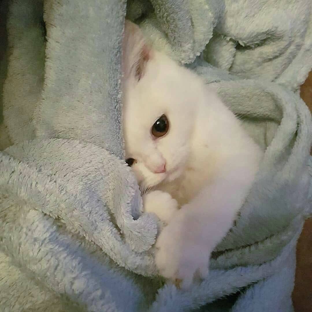 Доброй ночи💞