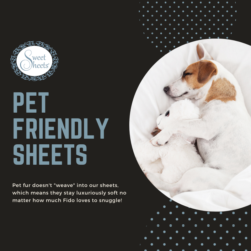 sweetsheets's tweet photo. Hey @KittySnuggler did you know that #SweetSheets are pet friendly? We've got you covered! (pun intended)
https://t.co/KAeixs4SrH
#petfriendly #linens #sheets #catsoftwitter #dogsoftwitter https://t.co/L4mIy6S0k2