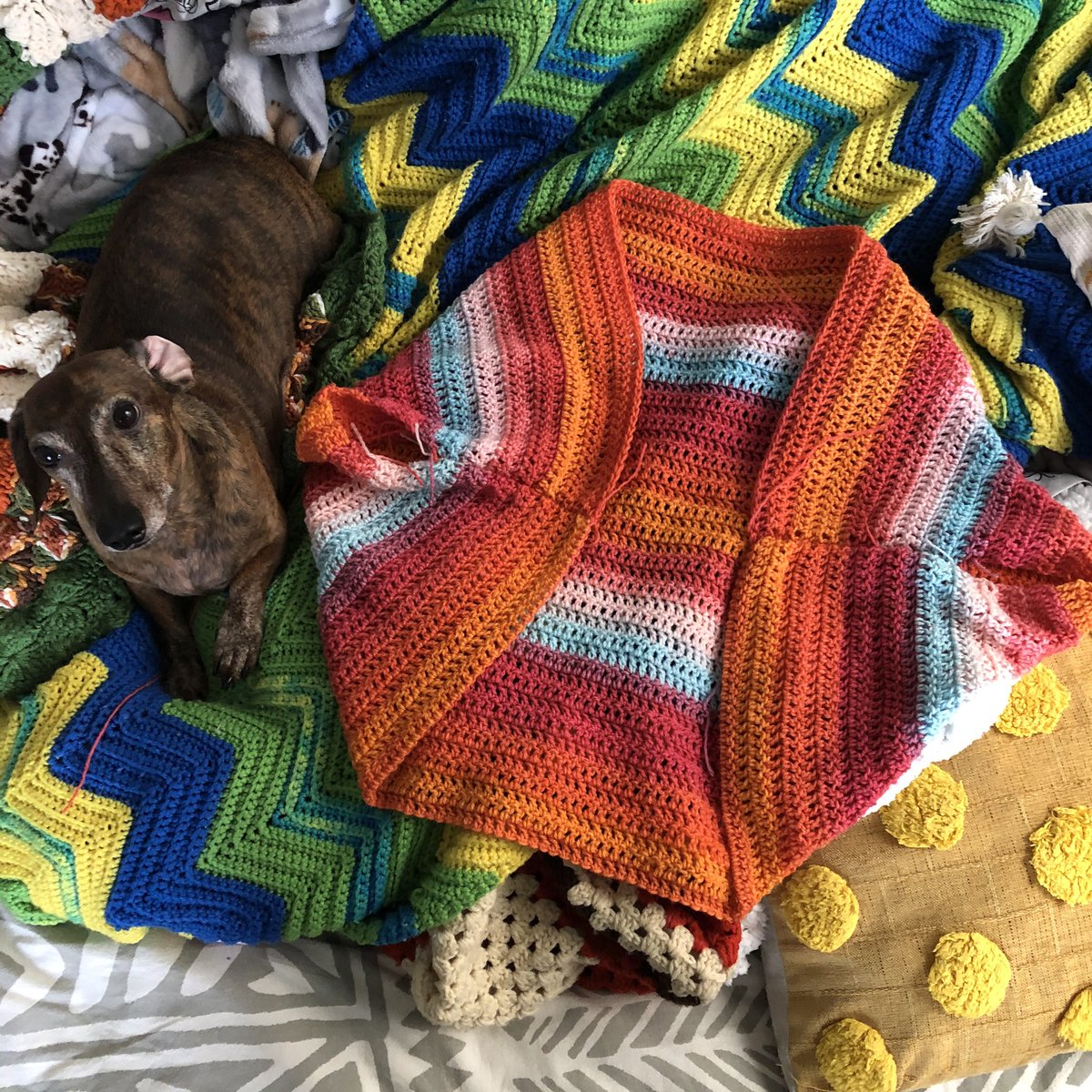 needle_nuggets's tweet photo. Almost done with this cardigan! 😍 And also a cute spoiled boy on blanket mountain. https://t.co/SjWMQvI04M