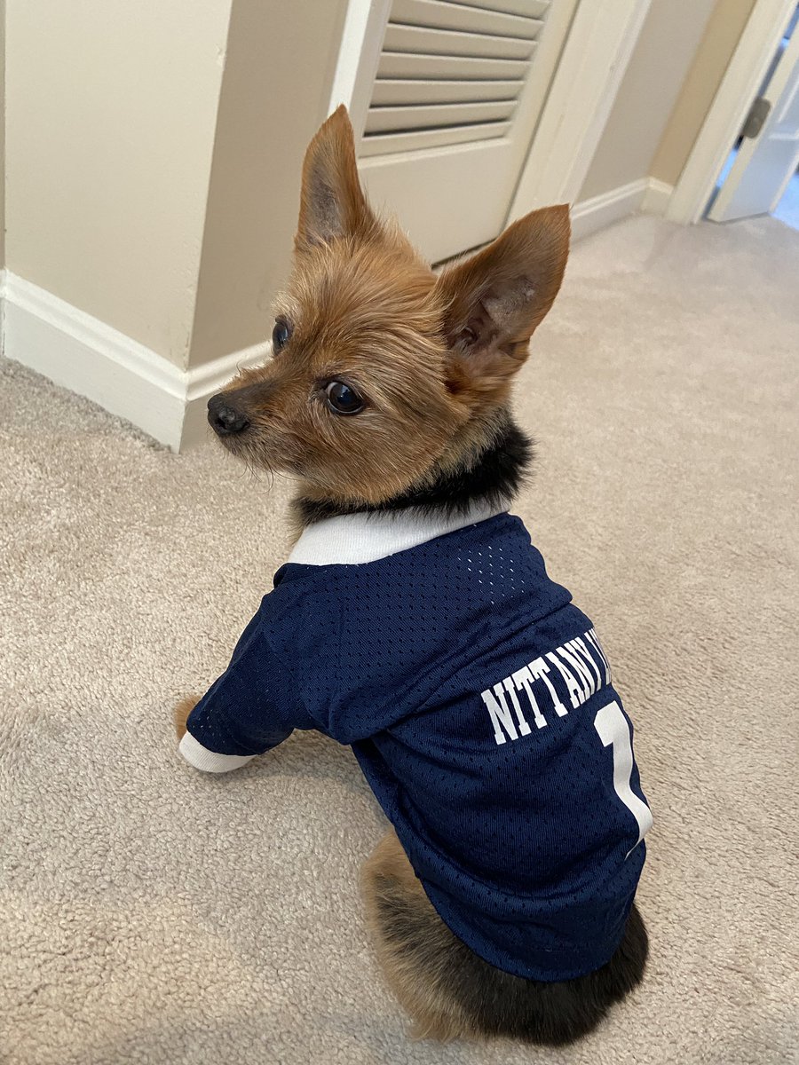 SCMS_FCCLA's tweet photo. We loved seeing how @SouthCountyMS Mustangs #InfluenceBeyondMeasure with your favorite team shirts. Even @MsJonesFCS and Neville got in on the day’s fun! Don’t forget - dress like your favorite teacher or Dress for Success for #FCSEdDay tomorrow! https://t.co/mDEM3FQNFT