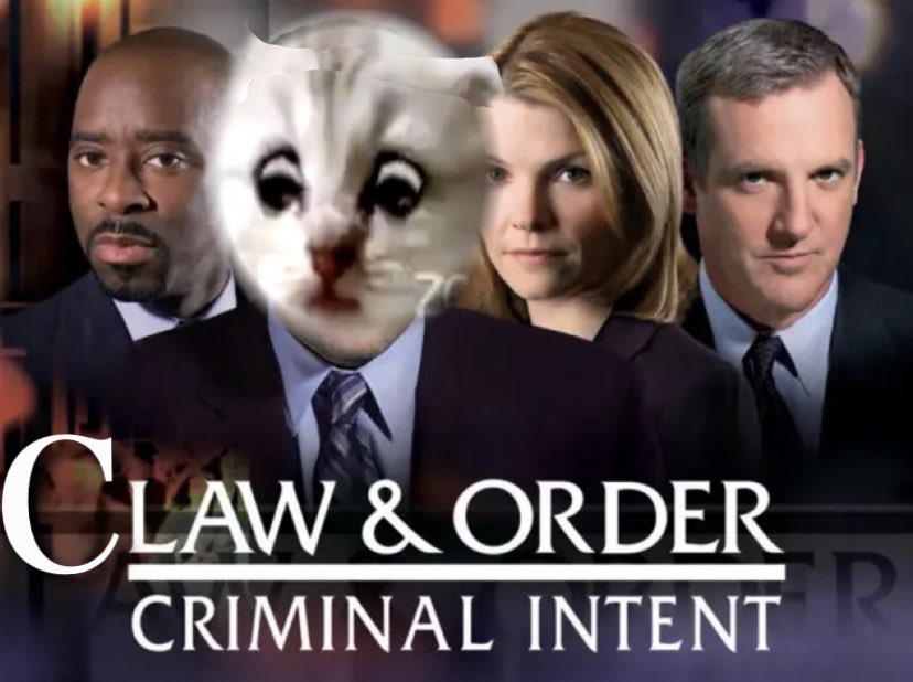 <a href="/JudgeFergusonTX/">Judge Roy Ferguson</a> @zoom_us The meowst difficult cases call for the pawfect lawyer.