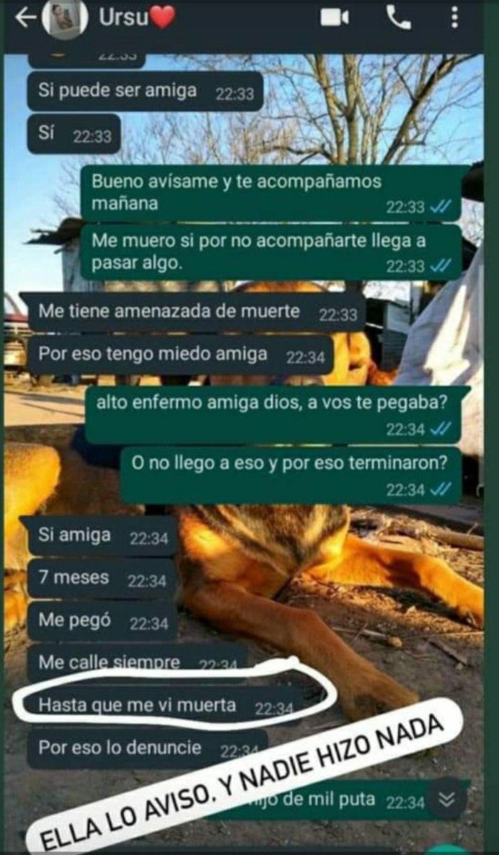 Úrsula hizo la denuncia porque imaginó que la podían matar. 
Hace rato venimos diciendo que algo está fallando mal cuando en tantos femicidios hubo denuncias previas.
Hay que seguir cada caso como si fuera el ultimo porque no queremos que las sigan matando, que nos sigan matando