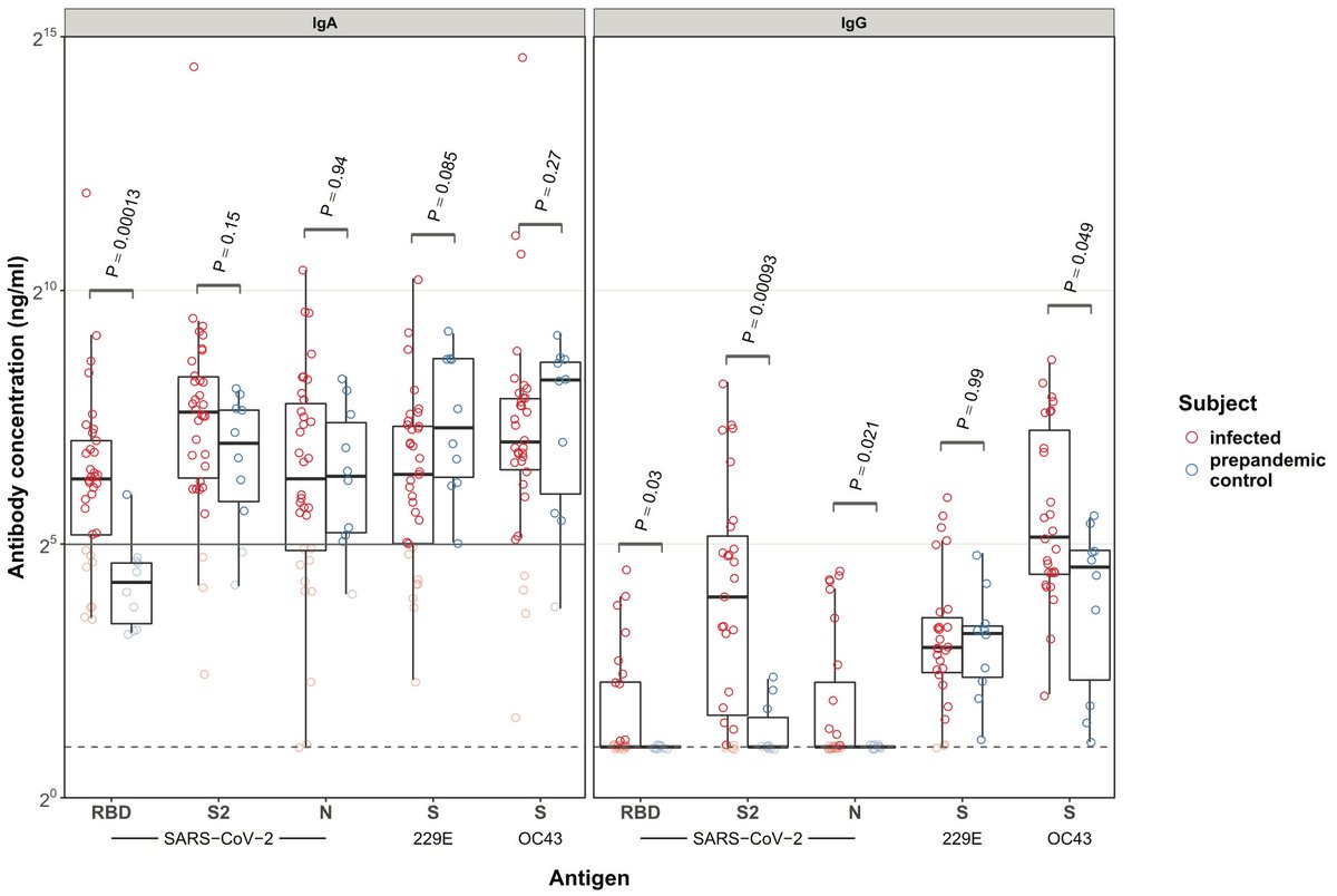 However, and in contrast, we did detect IgA and IgG antibodies in >75% of women. Including IgA specific to the spike glycoprotein receptor binding domain (RBD), one of the key components used by the virus infect the host.