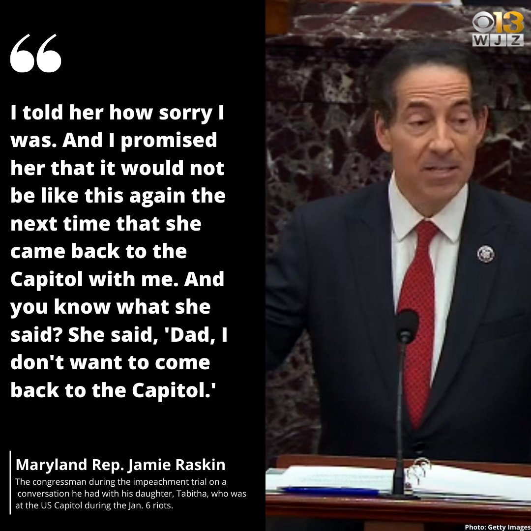jamie raskin loss jamie raskin loss