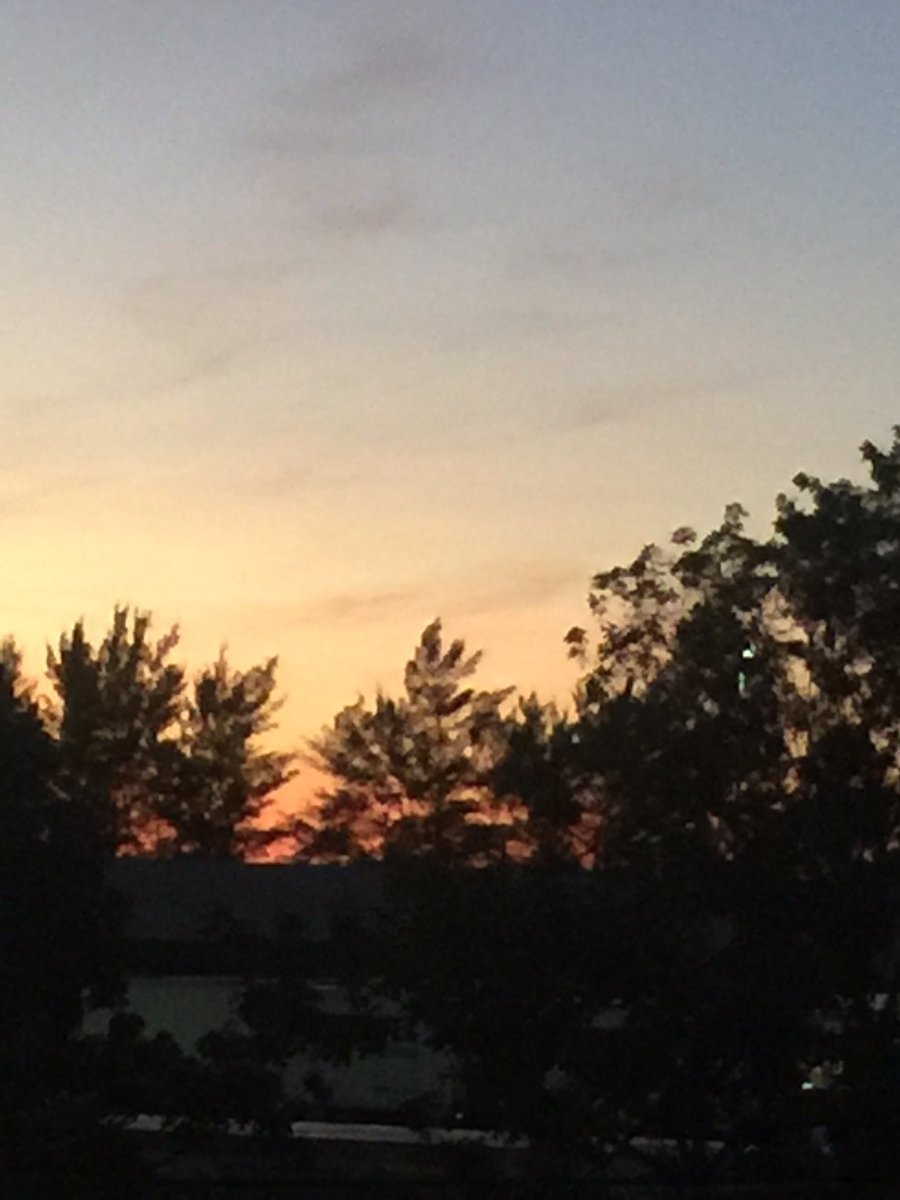 NHabayeb's tweet image. امنح الشخص الذي تحبه الأجنحة حتى يطير، الجذور حتى يعود، السبب حتى يبقى!