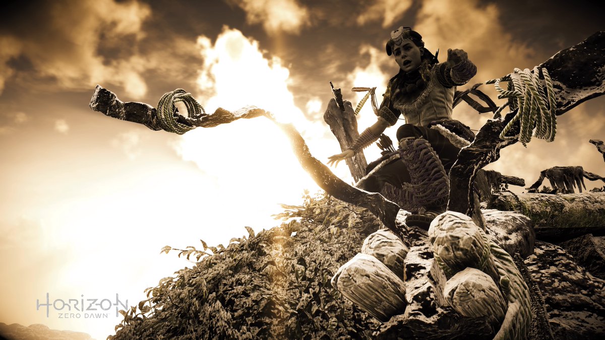 aced82's tweet photo. #HorizonZeroDawn #PS4share #Virtualphotography #Capturegallery #Gameotography #Artistofsociety https://t.co/I8qd3XC15U