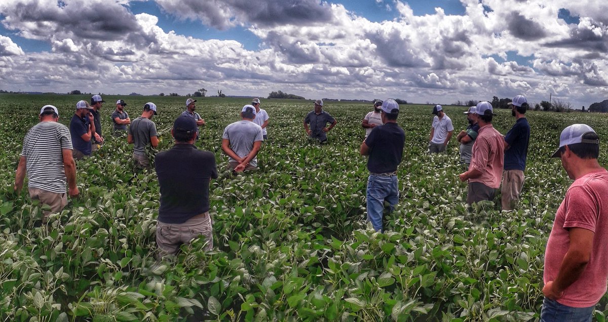 JuanpiCileiro's tweet photo. Jornada a campo de @Syngenta_ar . Manejo de plagas y enfermedades en soja y maíz junto a nuestro Ds Andreoli SA. (Gracias @diegohalvarez79)
#MiravisDúo #Amplgo #Engeo #AmistarXtra #VoliamTargo #CuryomFitUV https://t.co/qGj4QQmrYR