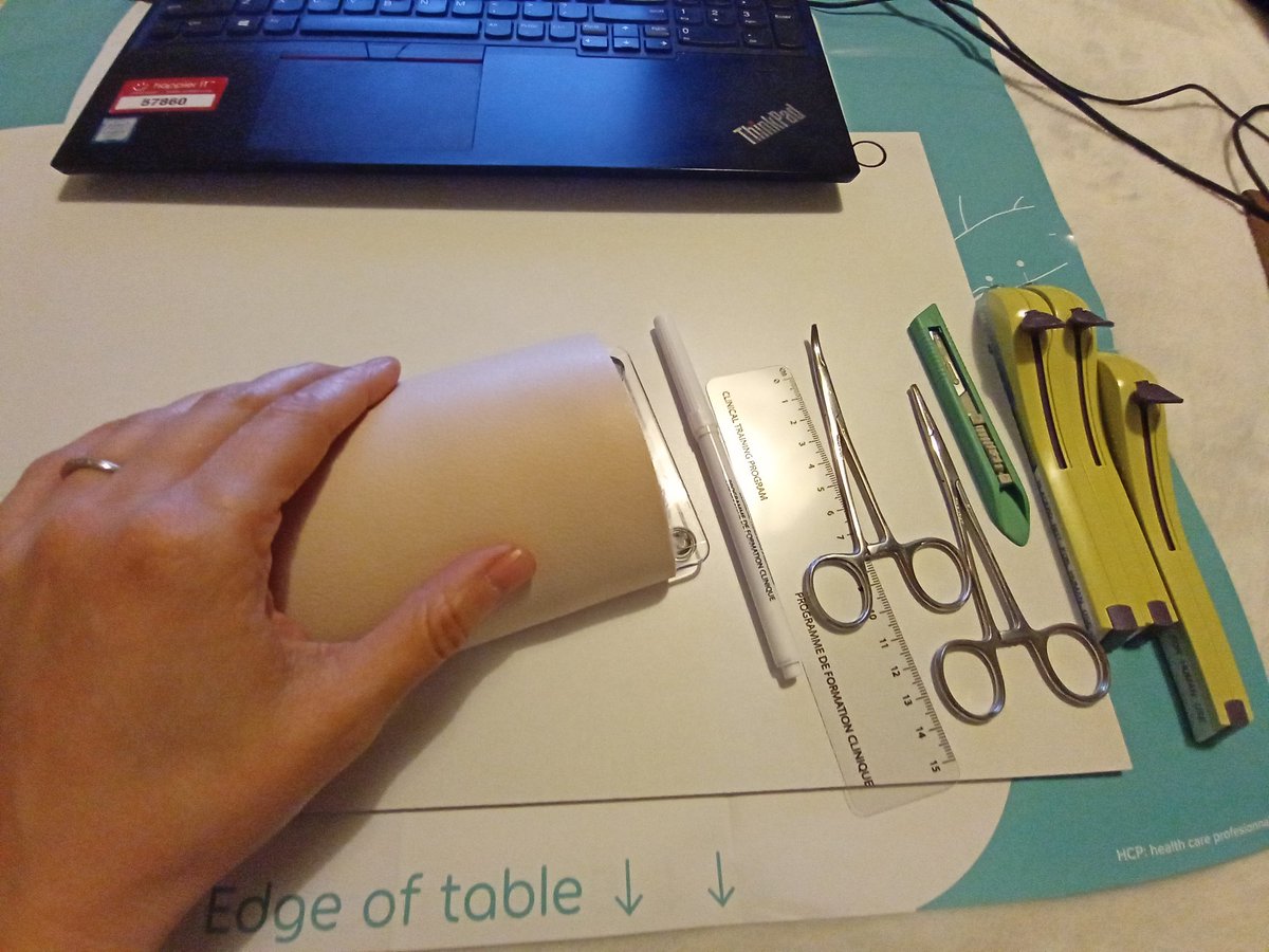 Nicole Pasquino tweet media