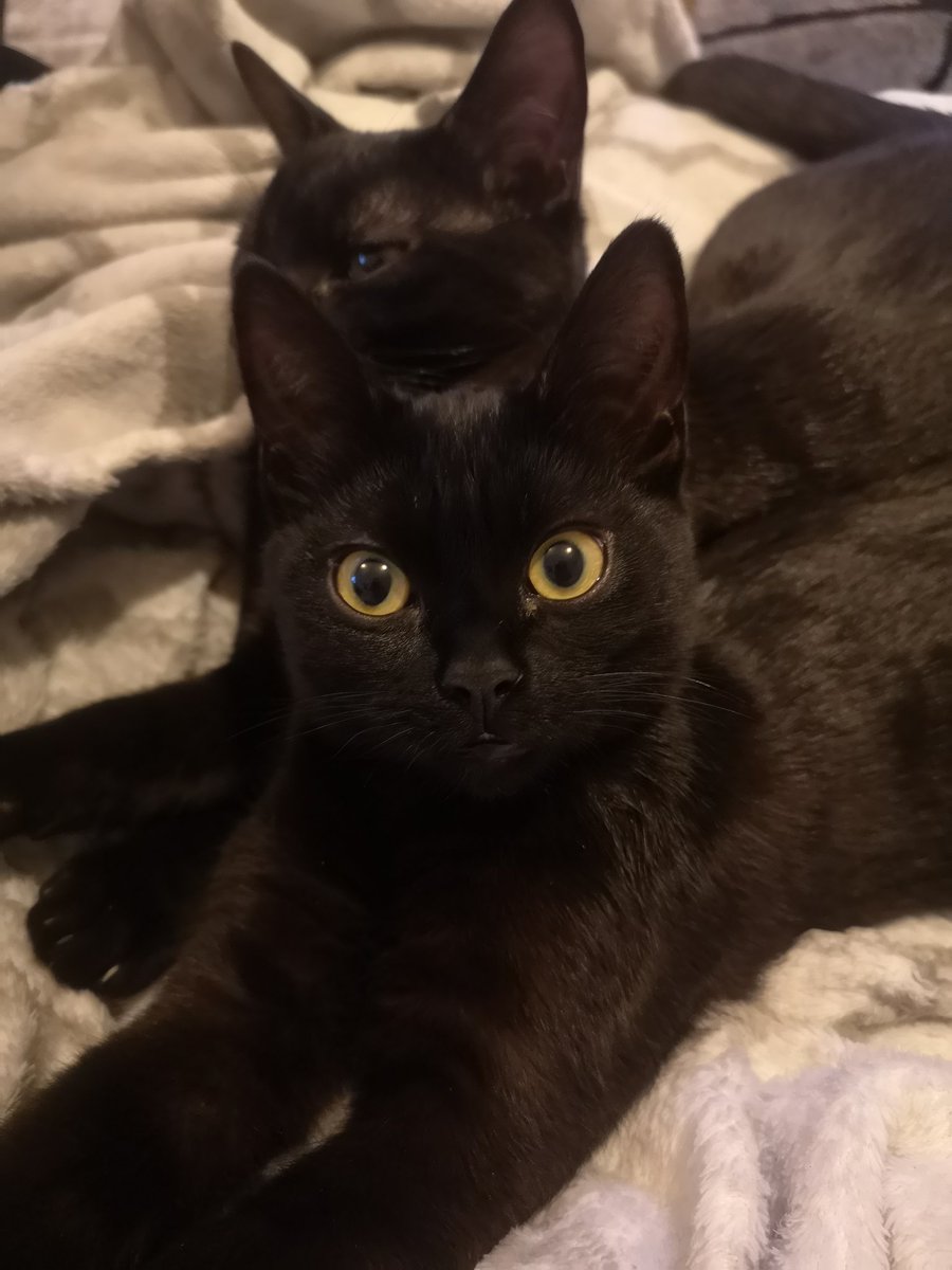 Drounz's tweet image. J'ai pas trouvé d'excuse pour poster cette photo. Elle est juste trop mignonne.