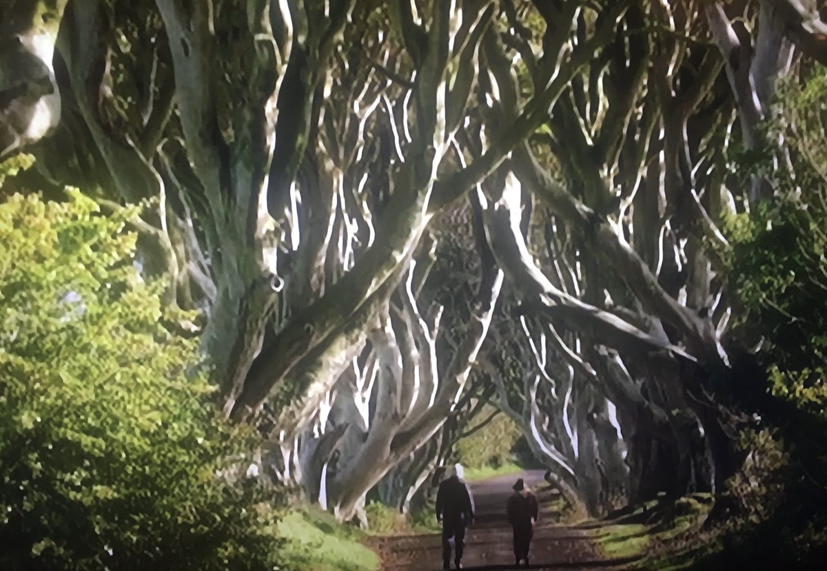 FortCottage's tweet image. A day trip from the cottage #DarkHedges