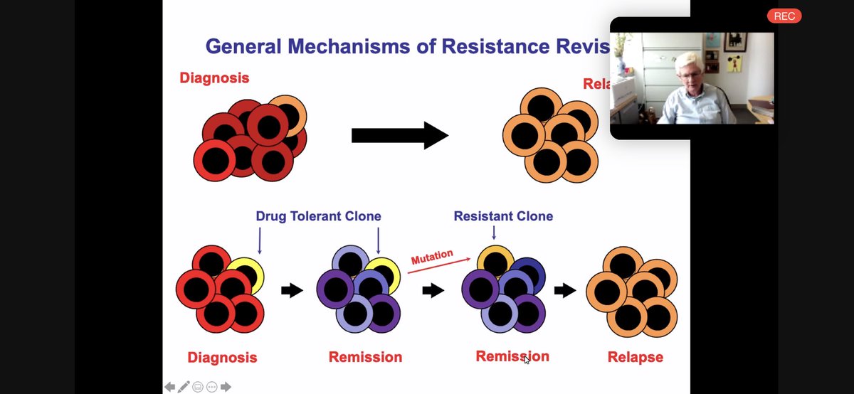 A pleasure to see Kevin Shannon give today’s 63rd Annual Faculty Research Lecture in Basic Science. <a href="/UCSF/">UC San Francisco</a> <a href="/UCSFCancer/">UCSF Helen Diller Family Comprehensive Cancer Ctr</a>. Kevin is a model physician scientist, mentor and friend. He’s not on Twitter but he deserves all the #MedTwitter love #leusm #mentor <a href="/ASH_hematology/">ASH</a>