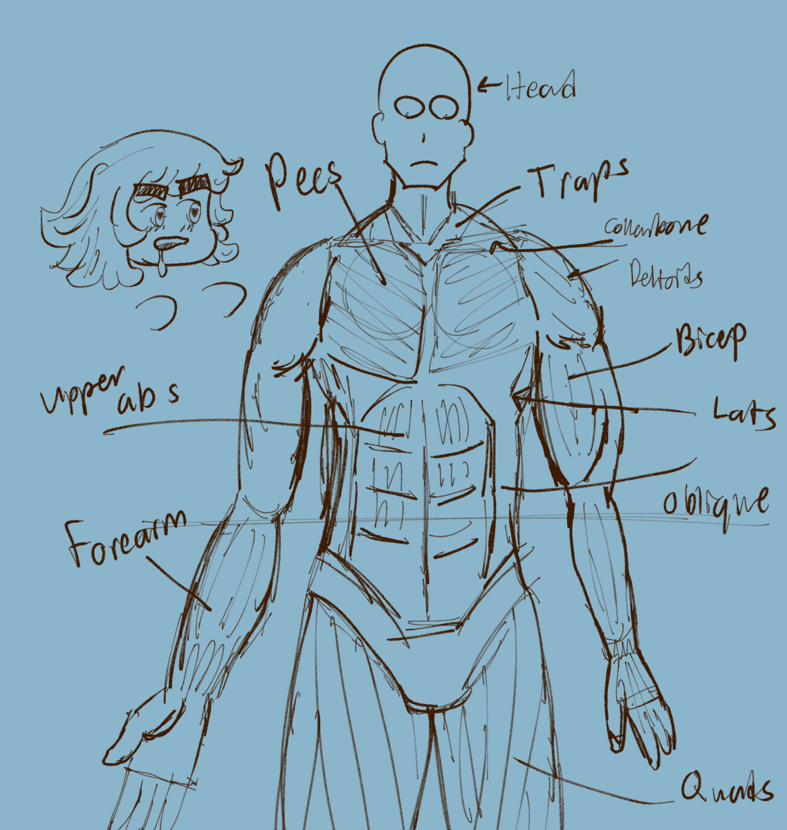 Comnyando's tweet image. Anatomy? more like Kyoujin-lookin ass. Alma for mood