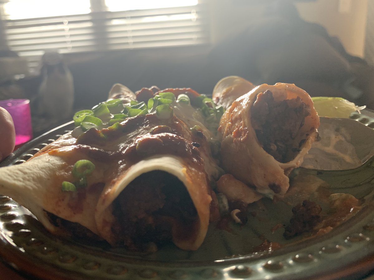 Up close shot of Plant-Based Protein Enchiladas with cat in distant background