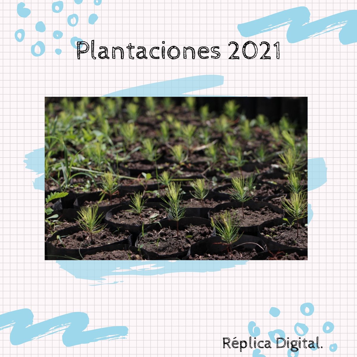 ReplicaDigiOk's tweet photo. 🌱 Santa Fe asiste a municipios y comunas de cara al plan de plantaciones 2021
Desde la Red Provincial de Viveros se trabaja en conjunto con gobierno locales de cara a una “Santa Fe Verde”.
#SantaFeVerde https://t.co/nKFWdGQ6Sq