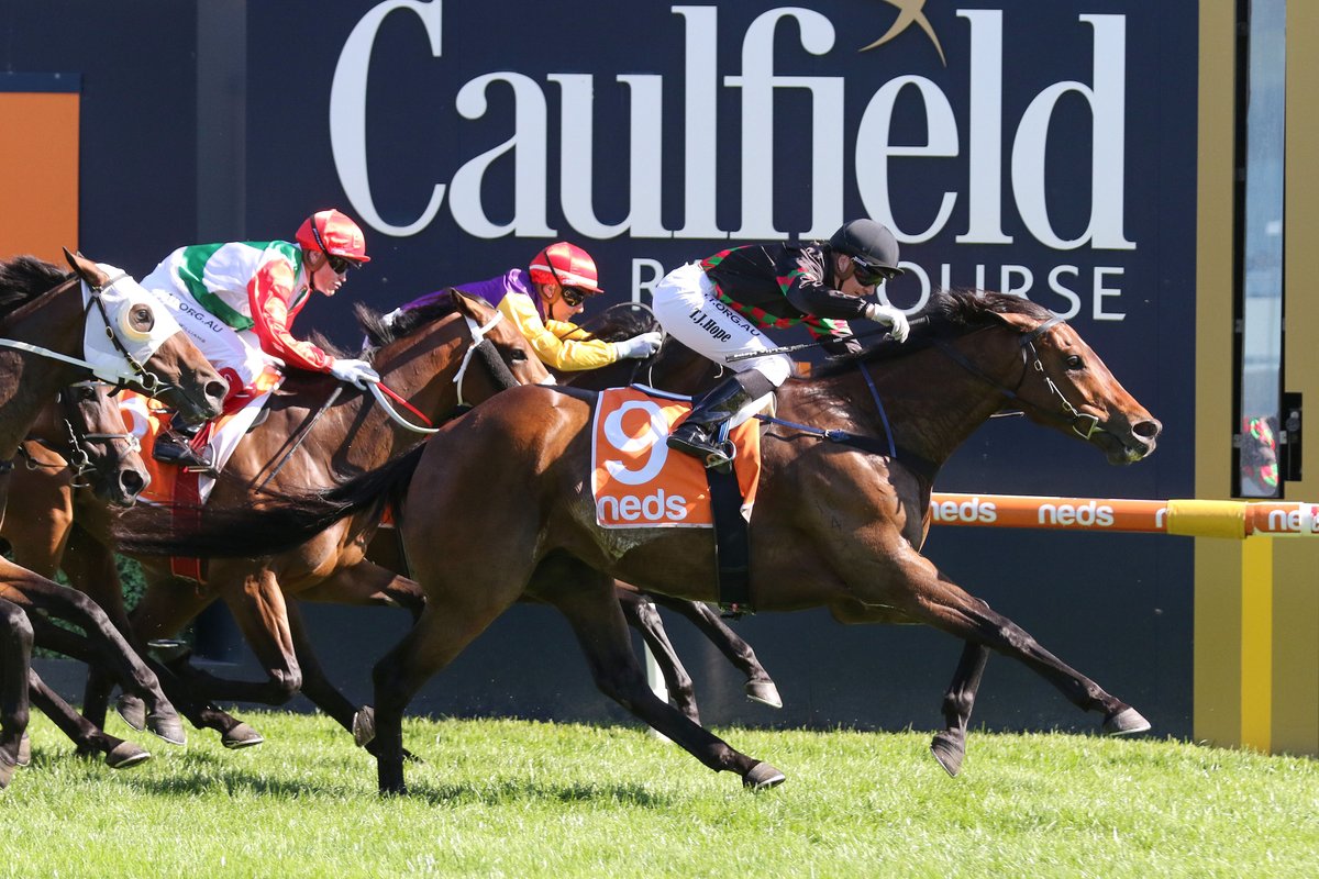 nzracingnews's tweet photo. Graham Richardson might not be able to get over to Australia to watch #Defibrillate race but he is getting plenty of entertainment value watching the horse from afar
https://t.co/nKQW0DL7m5 https://t.co/TtaUb64K6O