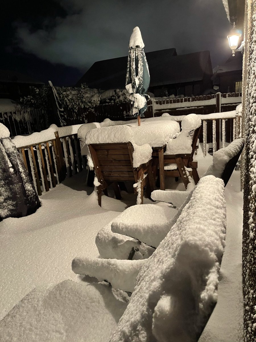 shones17's tweet photo. Winter wonderland garden #lockdownsnow https://t.co/nwdMlPULdU