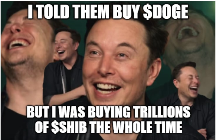 fegexswap's tweet photo. Lolllll #shibarmy hilarious https://t.co/UbQIeok87Y