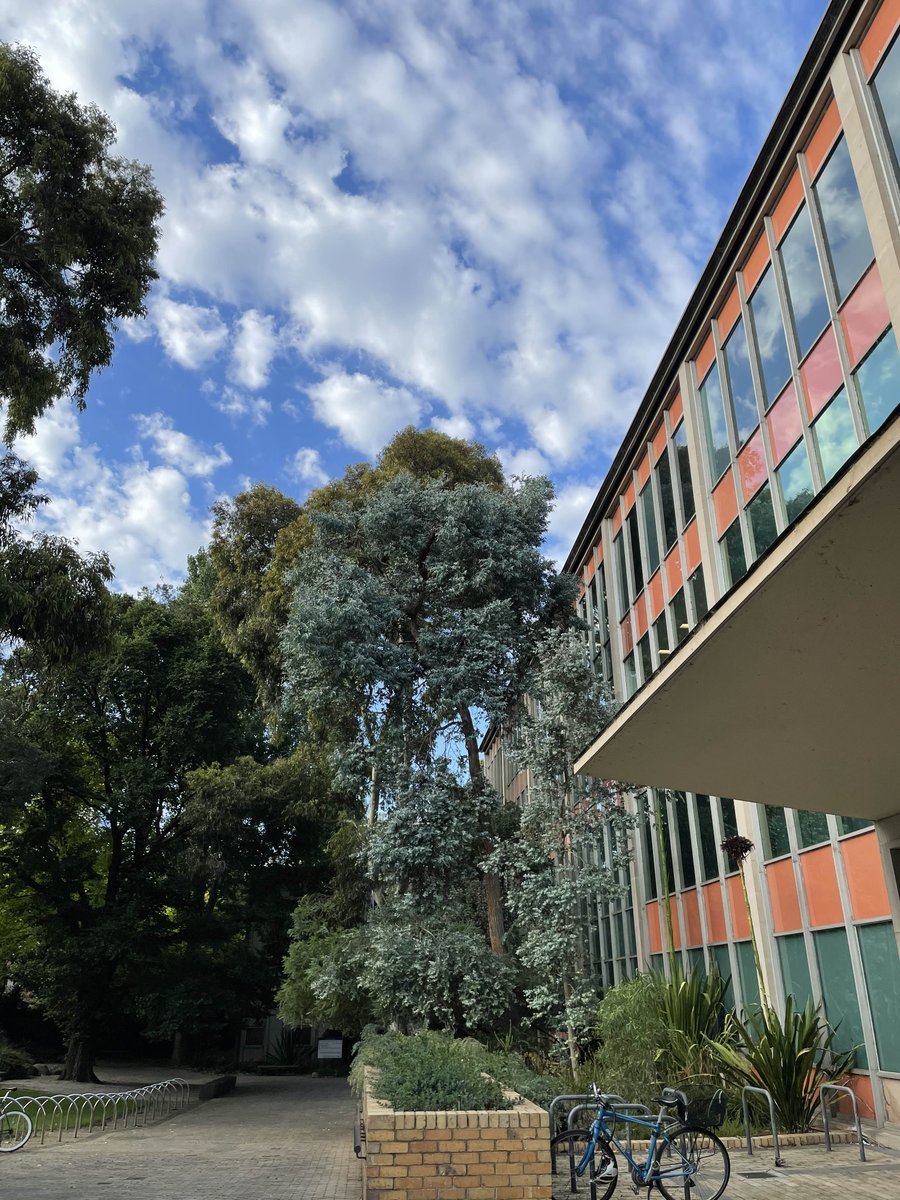 unilibrary's tweet photo. Good morning from the photogenic #BaillieuLibrary. Hope you have a great day planned #library #unimelb https://t.co/sXbuT9GBKa