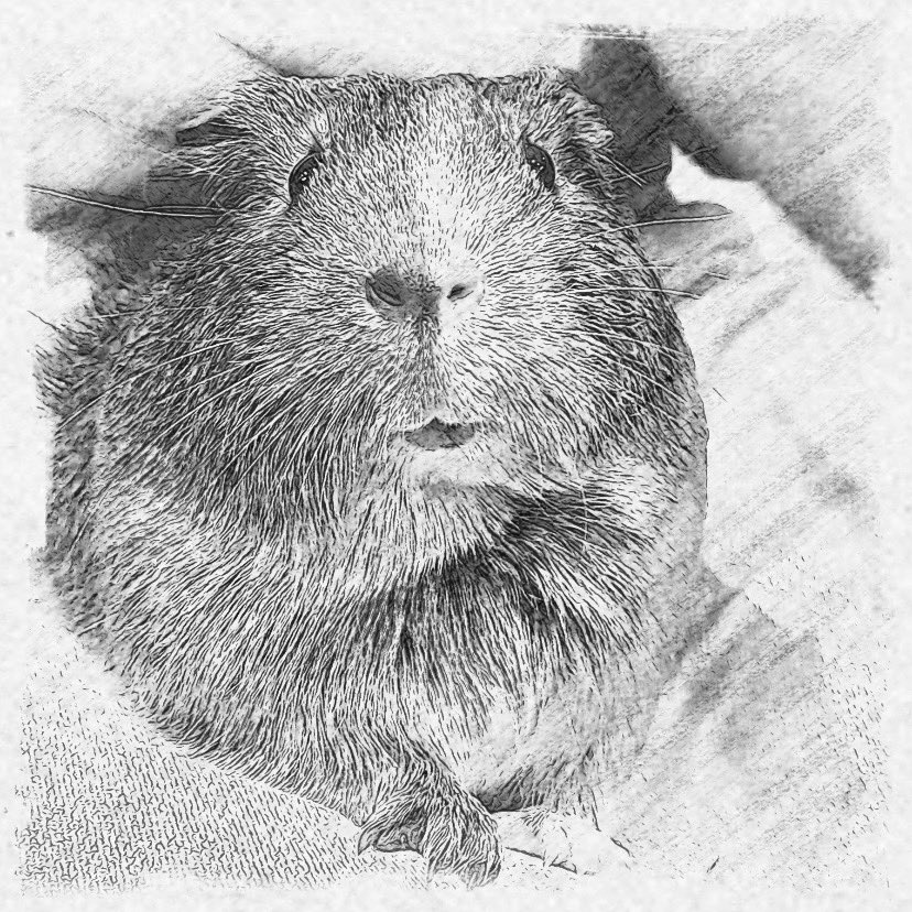 ComputerTweety's tweet image. This was created using the charcoal edit effect in Facebook. You don’t have to post the picture. Just save it.