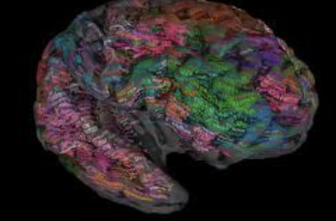ecalixto's tweet photo. Ironías y contradicciones neuronales: sentirse triste por recordar momentos felices: solo el cerebro humano, lleno de contradicciones y hermosas imperfecciones. 

#NocheNeuroTuits https://t.co/98WhcTMMXF