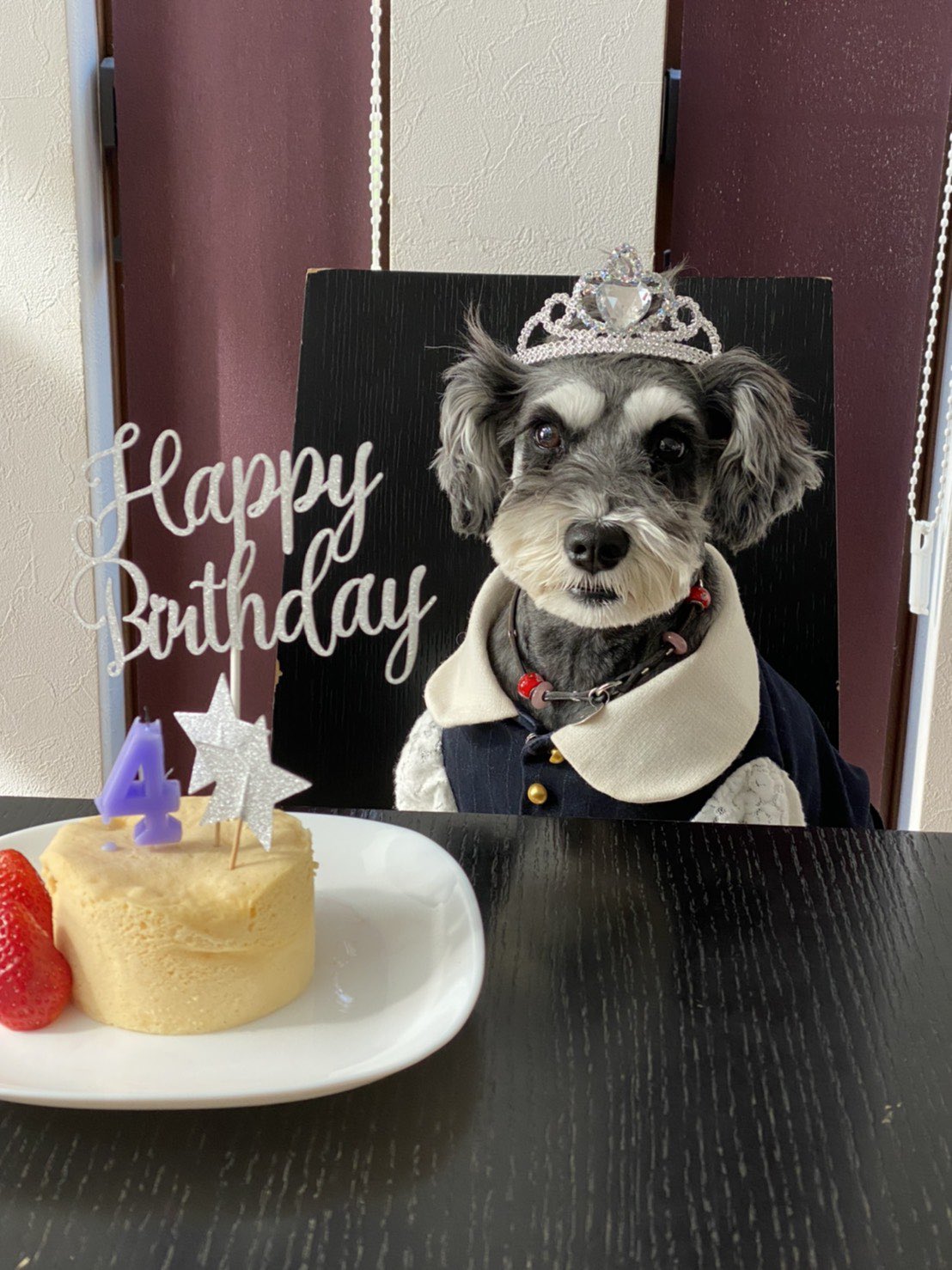 تويتر アメラブ ドッグラン على تويتر アメリ4歳になりました みんなにお祝いしていただき幸せです ハッピーバースデー 誕生日 ミニチュアシュナウザー 看板犬 犬 T Co Fvq1pyhdmo