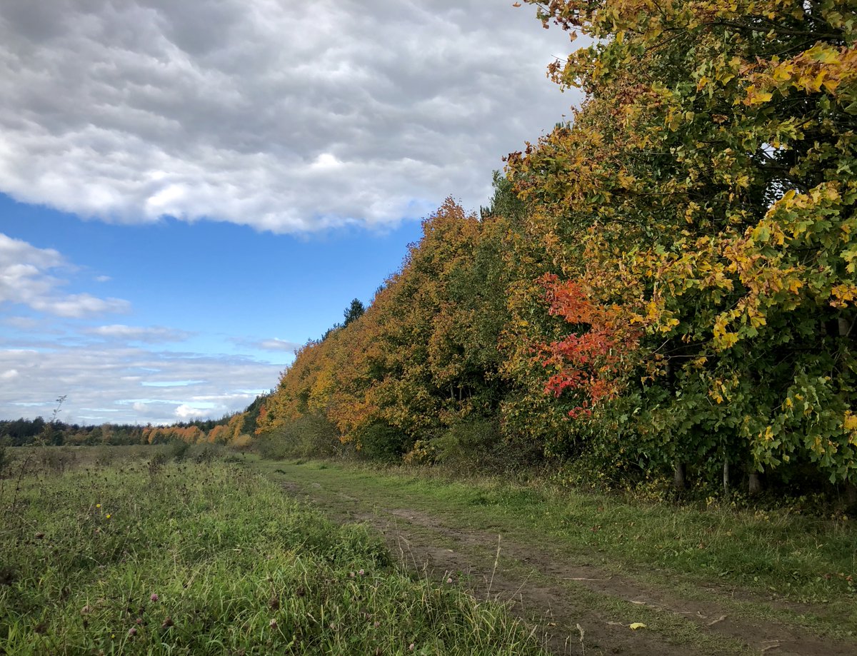 Please follow  @weekleyhallwood and find us on Facebook and Instagram.Some brilliant background to  #SaveWeekleyHallWood by  @NNjournalism here:  https://twitter.com/NNjournalism/status/1346729238720876545Sign our petition  http://bit.ly/saveourwoodpetition and check out the website:  http://saveweekleyhallwood.com&nbsp;