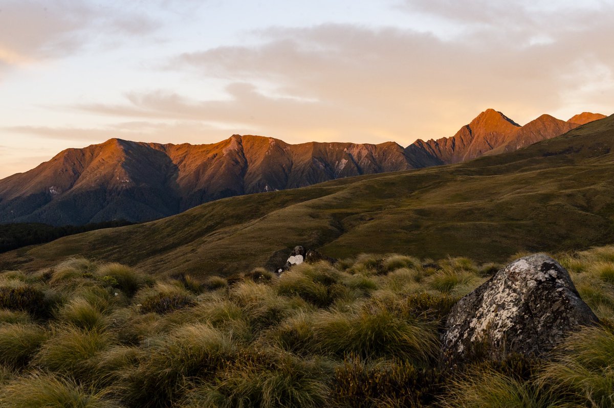 annafrosty's tweet image. Fiordland Running Adventure 🏃‍♀️🏃🏿🏃‍♂️

Arrive into the stunning Queenstown, Run the Routeburn, Some of the Milford, Run a few of the stunning trails into Te Anau and take the Earnslaw boat back to Queenstown! 

10-14th March 2021 

Sign up now @trailrunadventures 

📸 @drozphoto