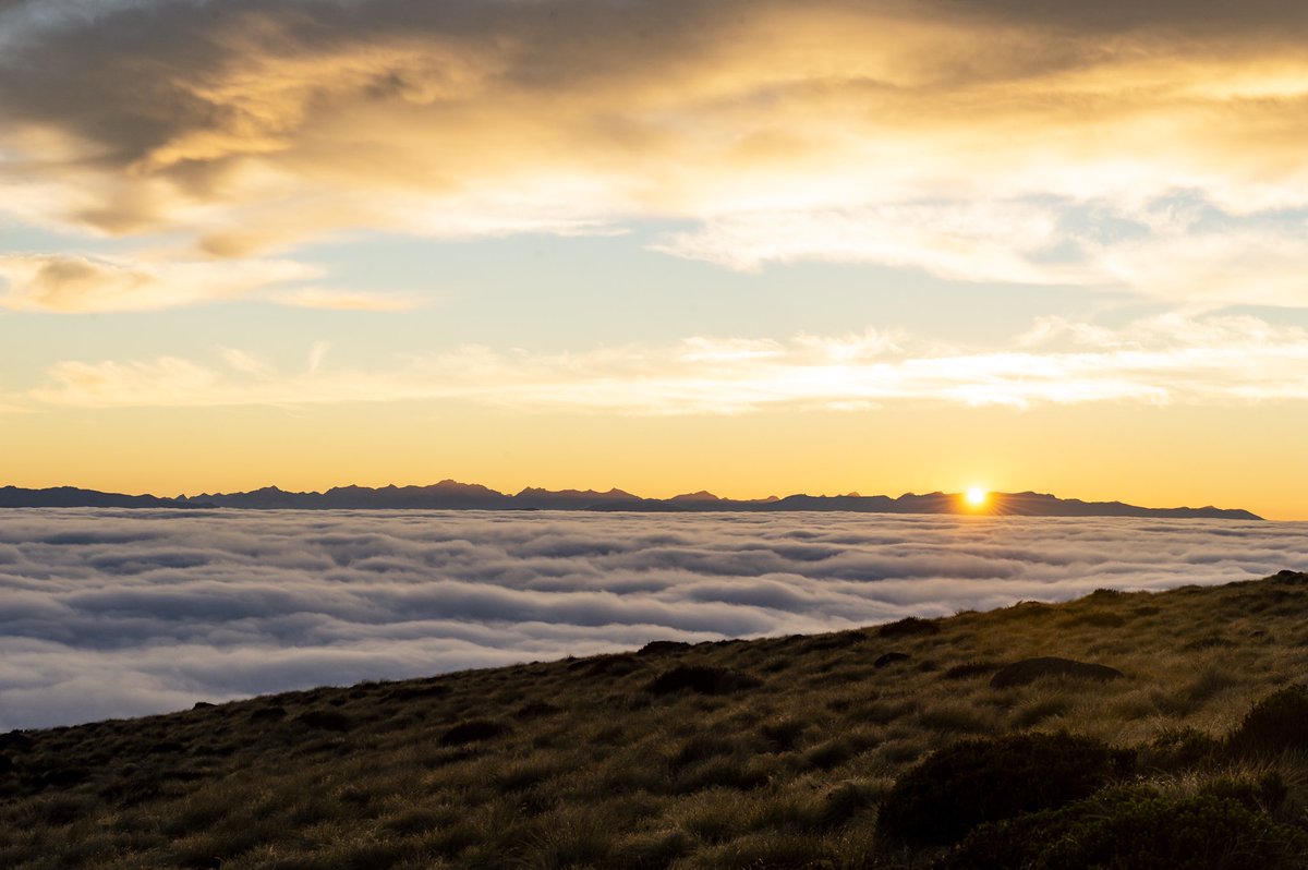 annafrosty's tweet image. Fiordland Running Adventure 🏃‍♀️🏃🏿🏃‍♂️

Arrive into the stunning Queenstown, Run the Routeburn, Some of the Milford, Run a few of the stunning trails into Te Anau and take the Earnslaw boat back to Queenstown! 

10-14th March 2021 

Sign up now @trailrunadventures 

📸 @drozphoto
