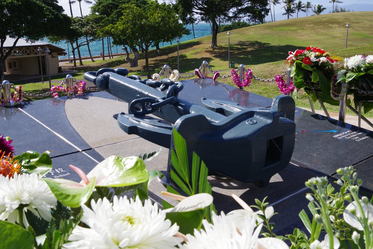 Wiseandgoldenhawaii Wiseandgoldenha Twitter